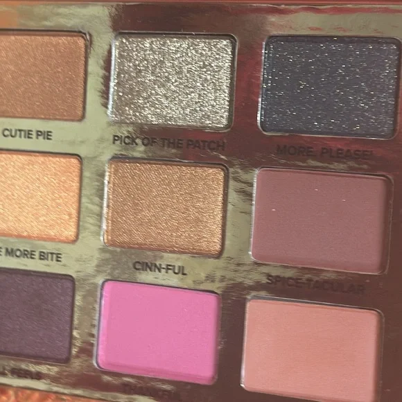 WOW Authentic Too Faced Pumpkin Spice Second Slice 18 Pan Eyeshadow Palette